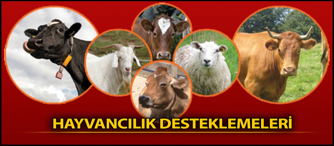 Tarım ve hayvancılık desteklerimiz